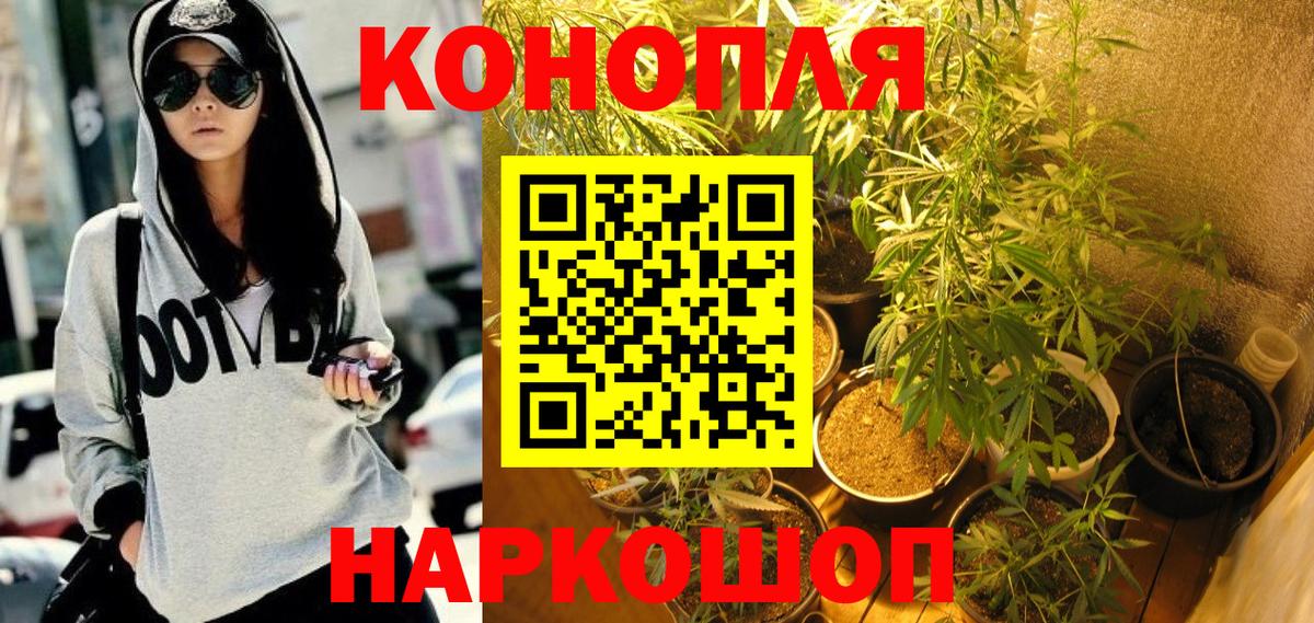 Шишки марихуана сатива  МАРИХУАНА конопля  Шадринск  Бошки марихуана VHQ  Вход с VPN 